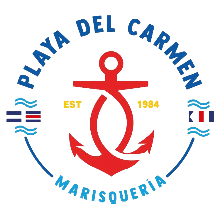 playadelcarmen.koodidev.com